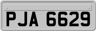 PJA6629