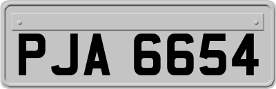 PJA6654