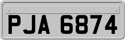 PJA6874