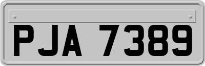 PJA7389