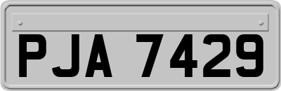 PJA7429