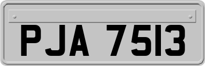 PJA7513