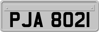 PJA8021
