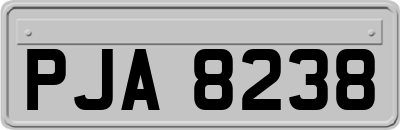 PJA8238