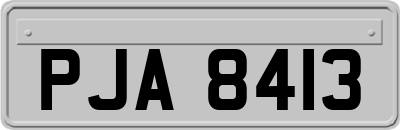 PJA8413