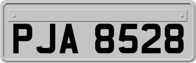 PJA8528