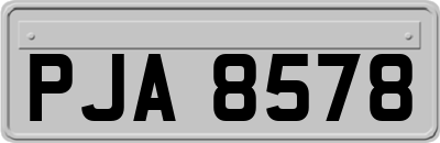 PJA8578