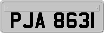PJA8631