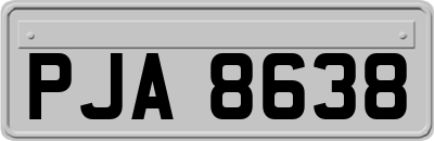 PJA8638