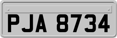 PJA8734