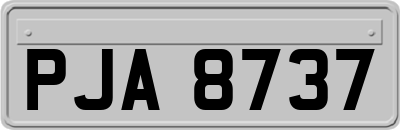PJA8737