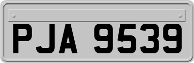 PJA9539