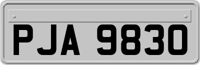 PJA9830