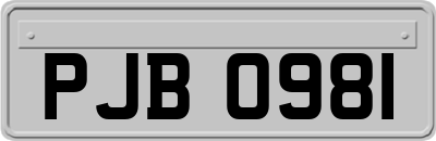 PJB0981