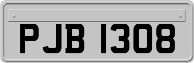 PJB1308