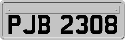PJB2308