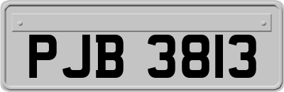 PJB3813
