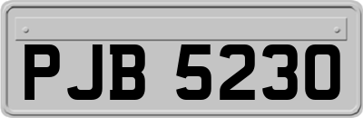 PJB5230