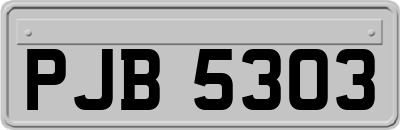 PJB5303
