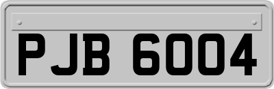 PJB6004