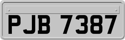 PJB7387