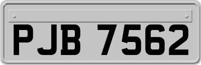 PJB7562