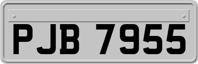 PJB7955