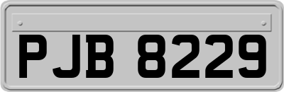 PJB8229
