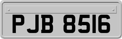 PJB8516