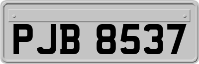 PJB8537