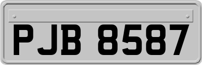 PJB8587