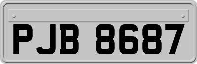 PJB8687