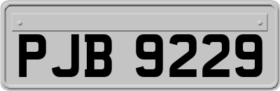 PJB9229