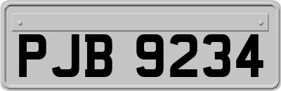 PJB9234