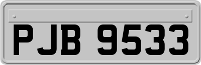 PJB9533