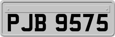 PJB9575