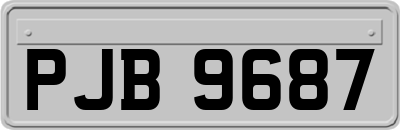 PJB9687