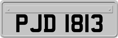 PJD1813