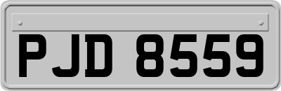 PJD8559