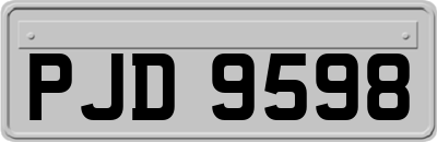 PJD9598