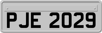 PJE2029