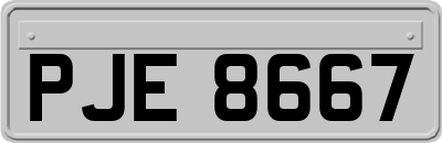 PJE8667