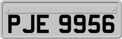 PJE9956