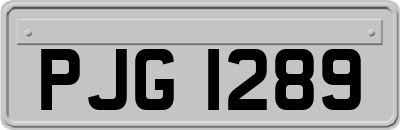 PJG1289