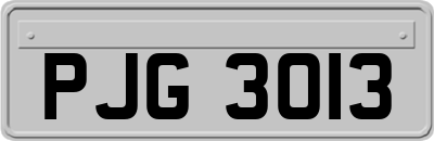 PJG3013