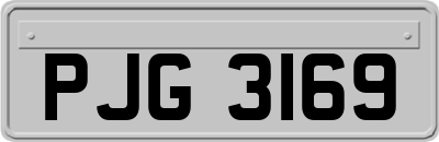 PJG3169