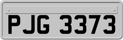 PJG3373