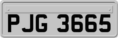 PJG3665