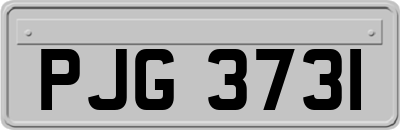 PJG3731