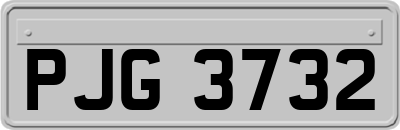 PJG3732